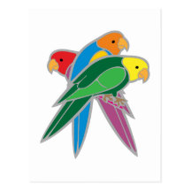 Drei Vögel Papageien three birds parrots Postkarte