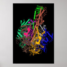 Dreidel ATP Synthase Print
