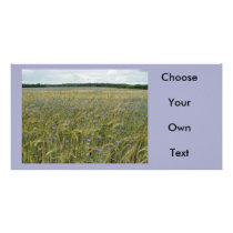 Drenthe - Corn Flower field Photo Card Template