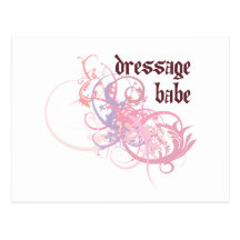 Dressage Babe Postcards
