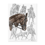 Dressage Horses in Collected Trot Canter Post Card
