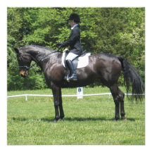 Dressage Show Ring Invitations
