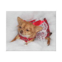 dressy chihuahua printprint gallery wrapped canvas