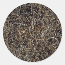 Dried beach vegetation, Trinidad Sticker