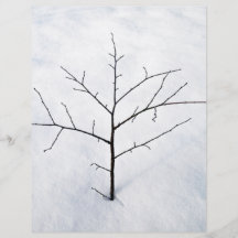 Dried branch lonely tree on a snowy landscape flyer