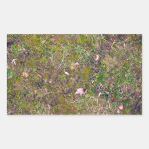 Dried Fallen Leaves on Grass Ground - Completely S Rectangular Stickers