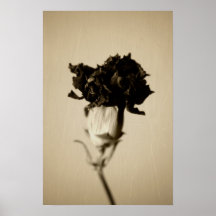 Dried Flower II Poster