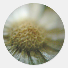 Dried Flower in Brown Round Sticker