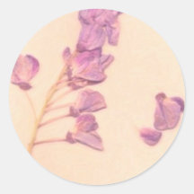 dried flowers round stickers