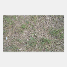 Dried grass texture rectangular sticker