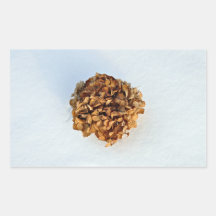 Dried Leaves Texture Stickers