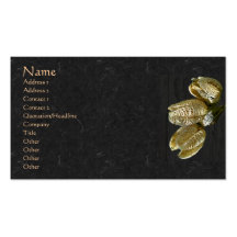 Dried Lily Seed Pods Business Cards