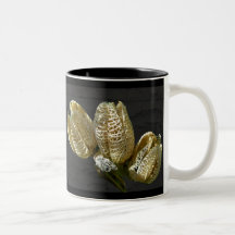 Dried Lily Seed Pods Coffee Mug
