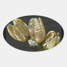 Dried Lily Seed Pods Stickers