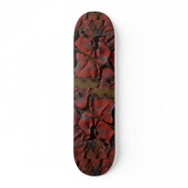 Dried paint skate boards