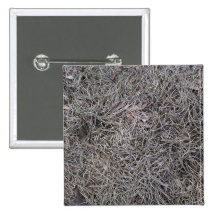 Dried Pine Leaves Background Pattern