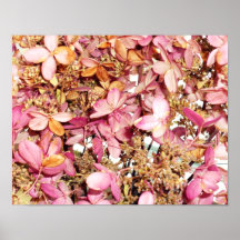 Dried Pink Flowers 14 x 11 Poster