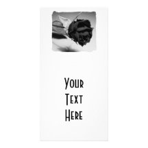 Dried Rose Photograph - Black & White Picture Card