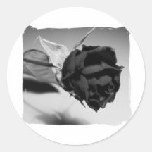 Dried Rose Photograph - Black & White Round Stickers