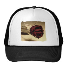 Dried Rose Photograph - Colour Hat