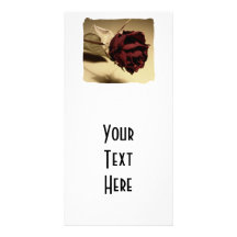Dried Rose Photograph - Colour Picture Card