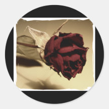 Dried Rose Photograph - Colour Sticker