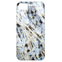 Dried Violet Flowers iPhone 5 Cases