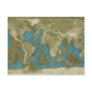 Dried World Map Post Card