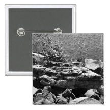 Drift wood pinback button