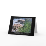 Driftwood and Zola Quote Greeting Card