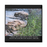 Driftwood and Zola Quote Refrigerator Magnets