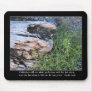 Driftwood and Zola Quote Mousepads