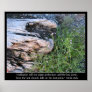 Driftwood and Zola Quote Posters
