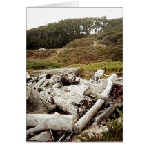 driftwood beach II Card