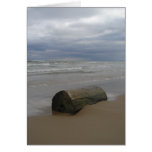 Driftwood Greeting Cards