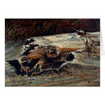 Driftwood Card