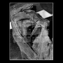 Driftwood Heart; 2013 Calendar postcards
