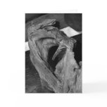 Driftwood Heart; Sweet Nothings Cards