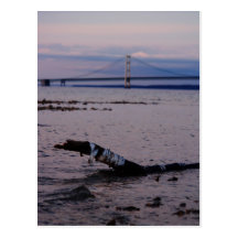 Driftwood in Lake Michigan Postcards