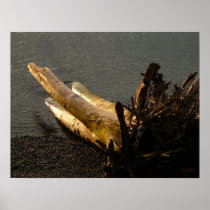 Driftwood in the Sunset print © Angel Honey, 2009