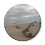Driftwood Magnets