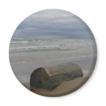 Driftwood Fridge Magnet