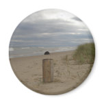 Driftwood Fridge Magnet