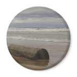 Driftwood Refrigerator Magnets
