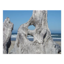 Driftwood Photography prints Ocean Beach waves