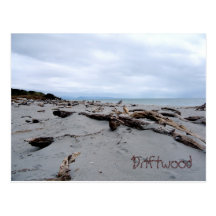 Driftwood Post Card