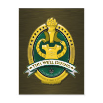 Drill Sergeant Premium Draught   Beer