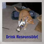Drink Responsibly! posters