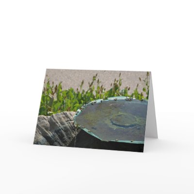 Drinking Bees, Phoenix, Arizona Greeting Cards by terryrowe