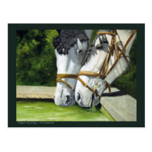 Drinking horses postcard